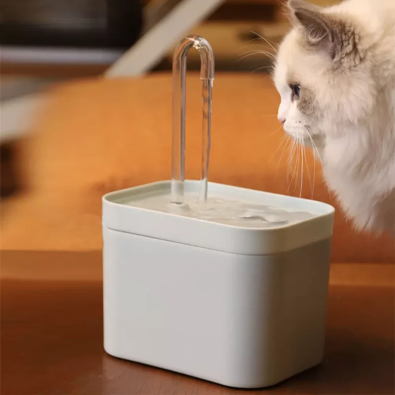 cat water fountain plastic