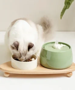 1.3L Whale-Themed Ceramic Cat Water Fountain Set