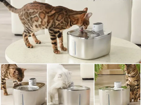4L cat water fountain America