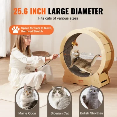 Cat Running Wheel | Large Running Wheel for Cats