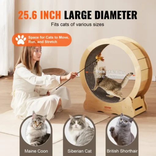 Cat Running Wheel | Large Running Wheel for Cats