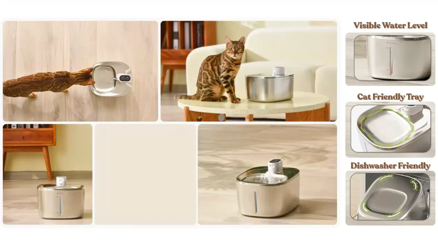 cat luxury shop America banner